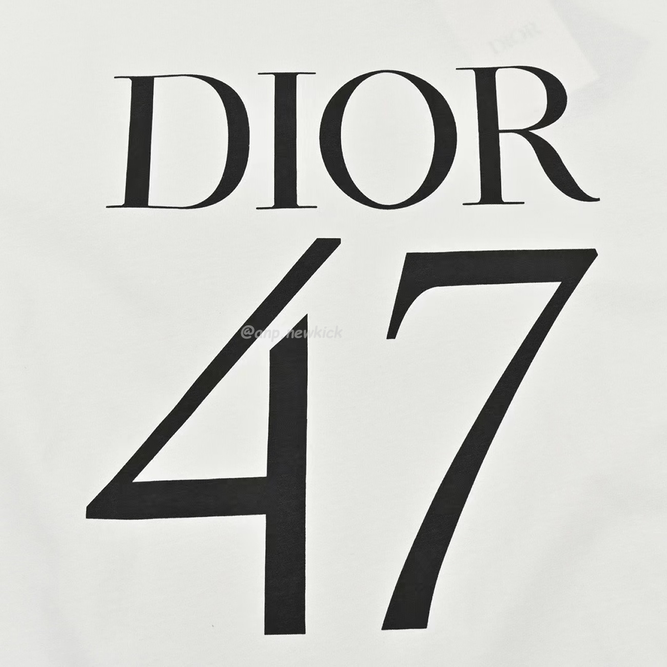 Dior Wide Body Bamboo Pure Cotton Plain Weave Fabric T Shirt White Navy (9) - www.newkick.org